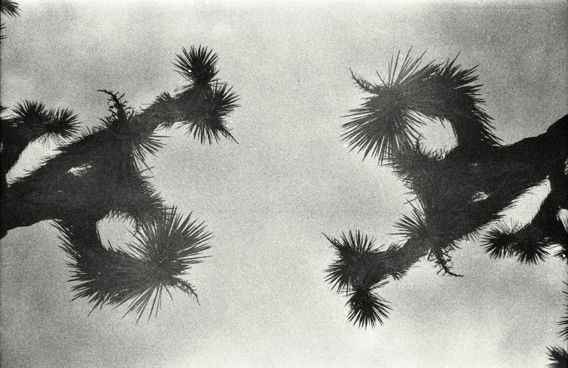 Scan
