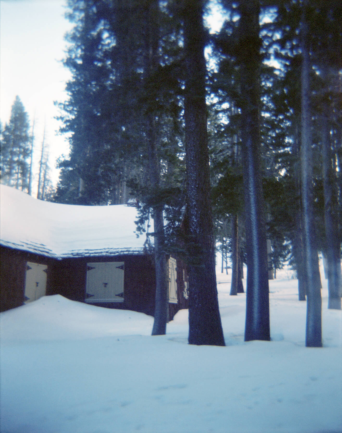 MammothartsGoodSmall