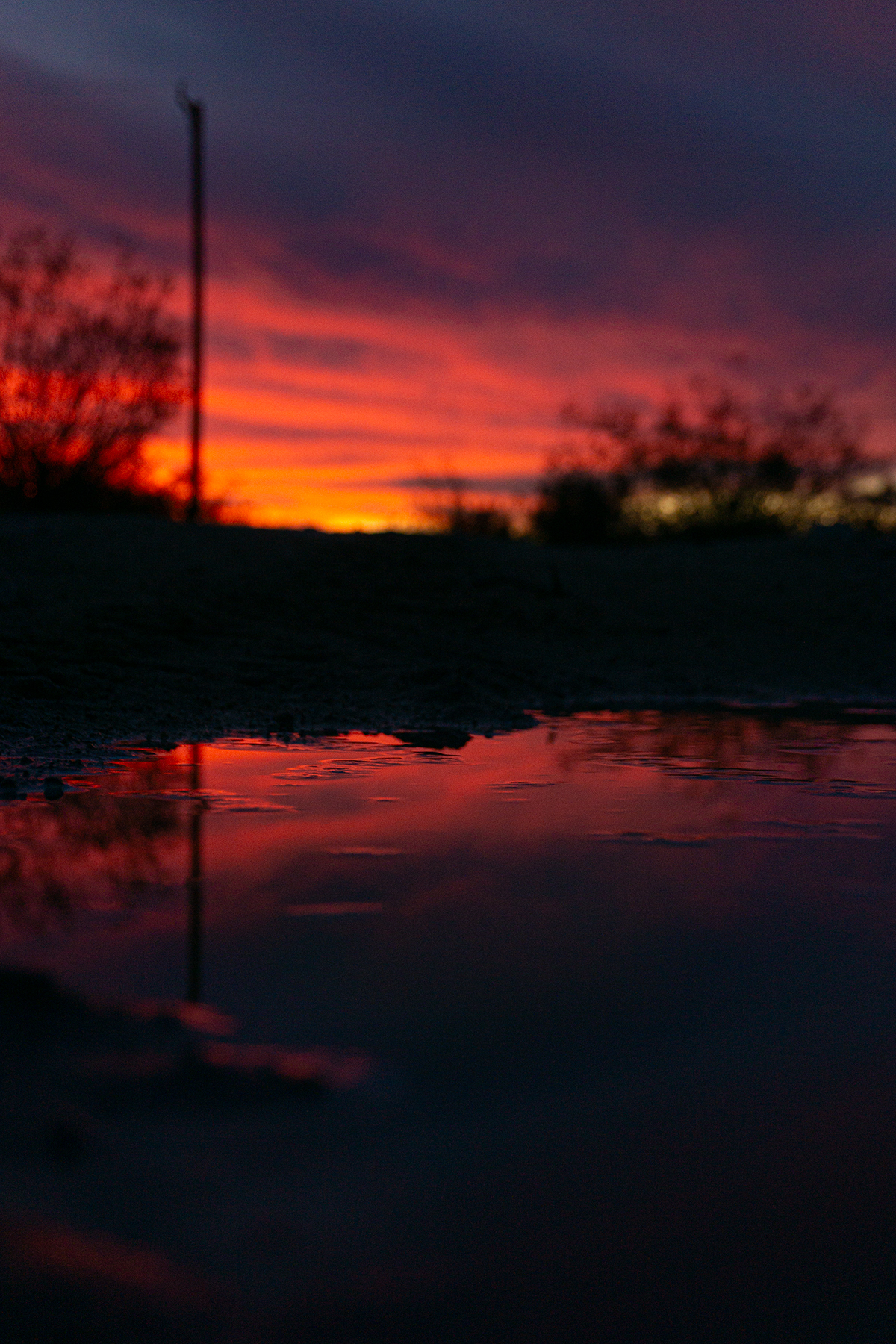 20250215-DSC04234-2