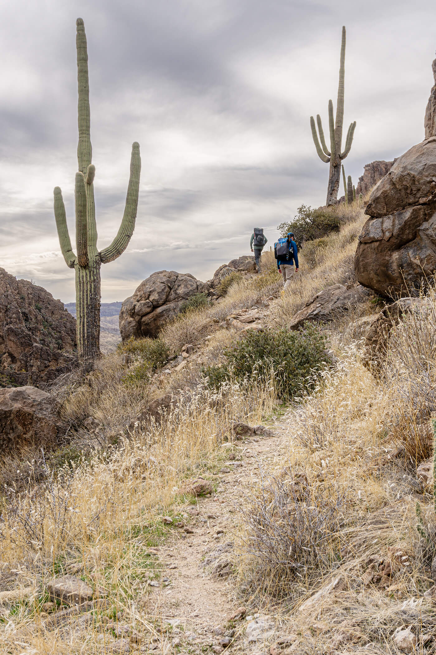 VertWalkingIntoCanyon2
