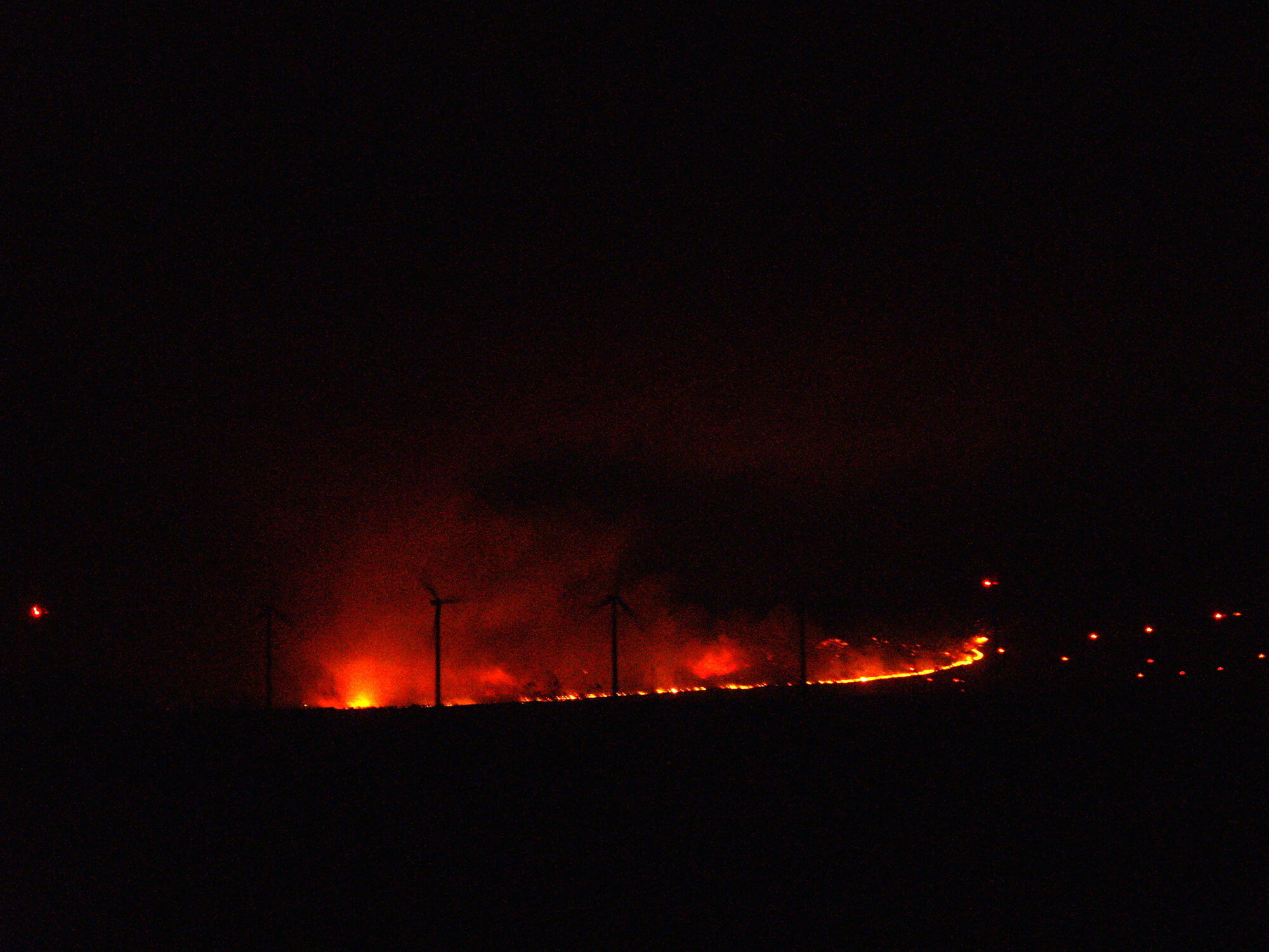 AlongAFireLine