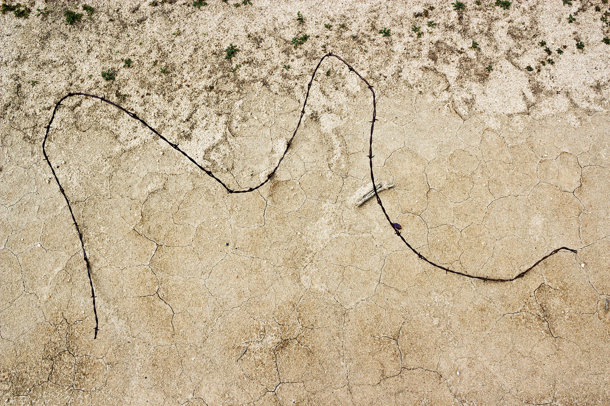 Barbed Wire