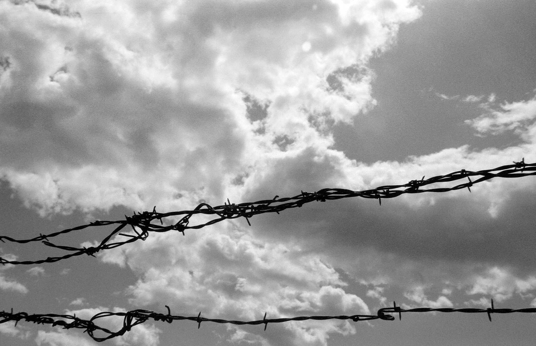 BarbedWire2