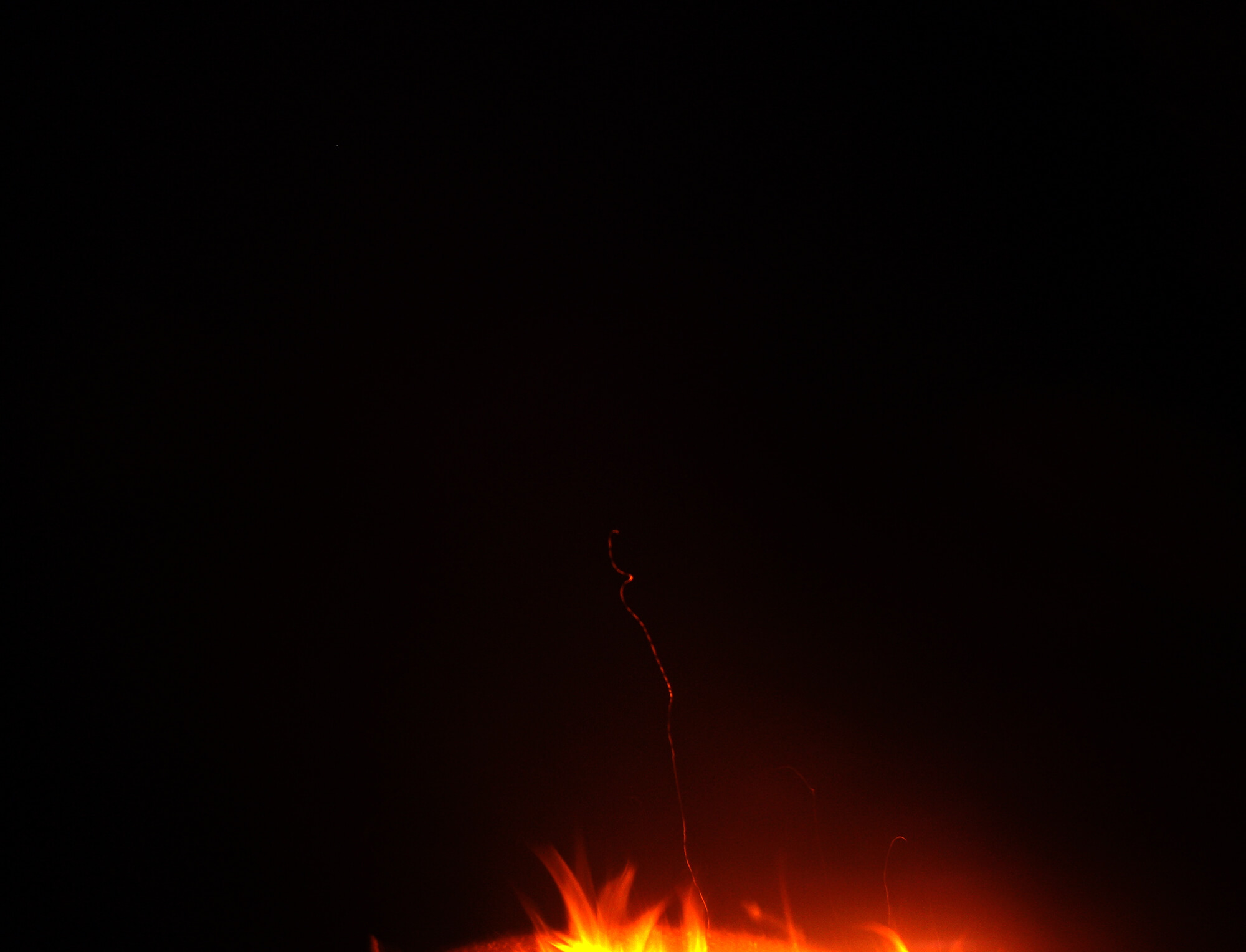 fire flies