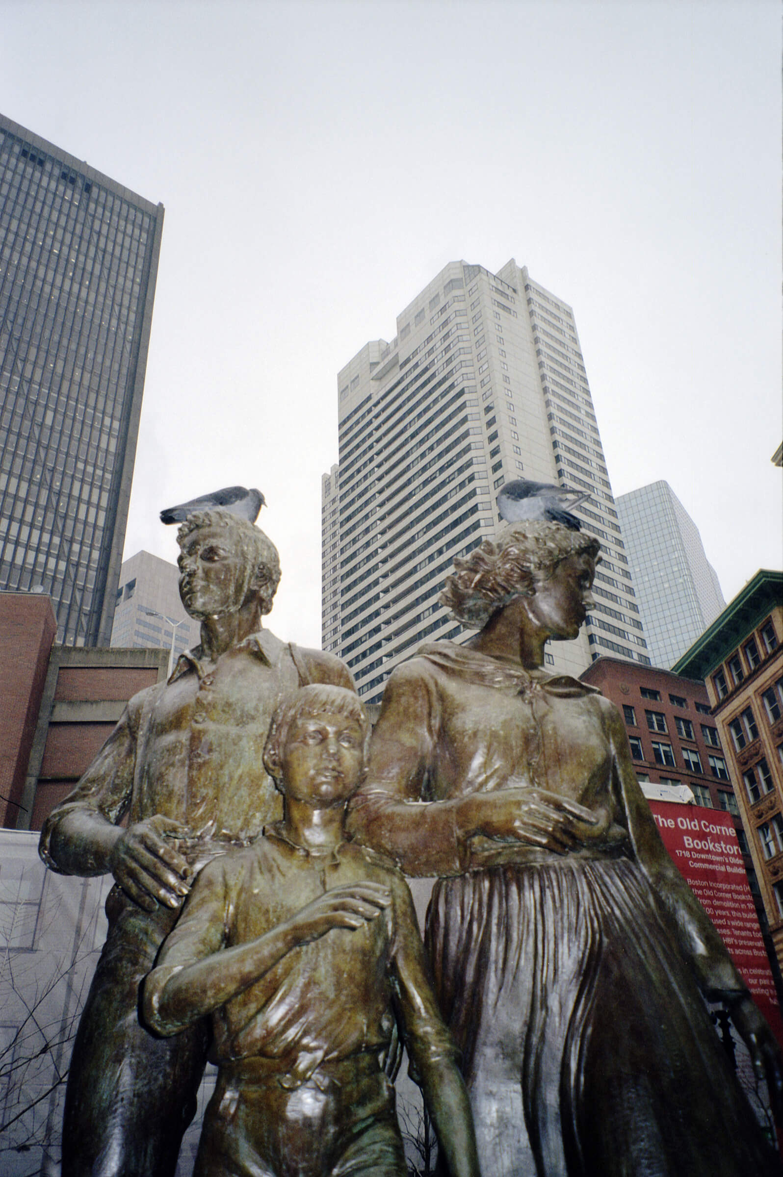 Boston PigeonHeads copy