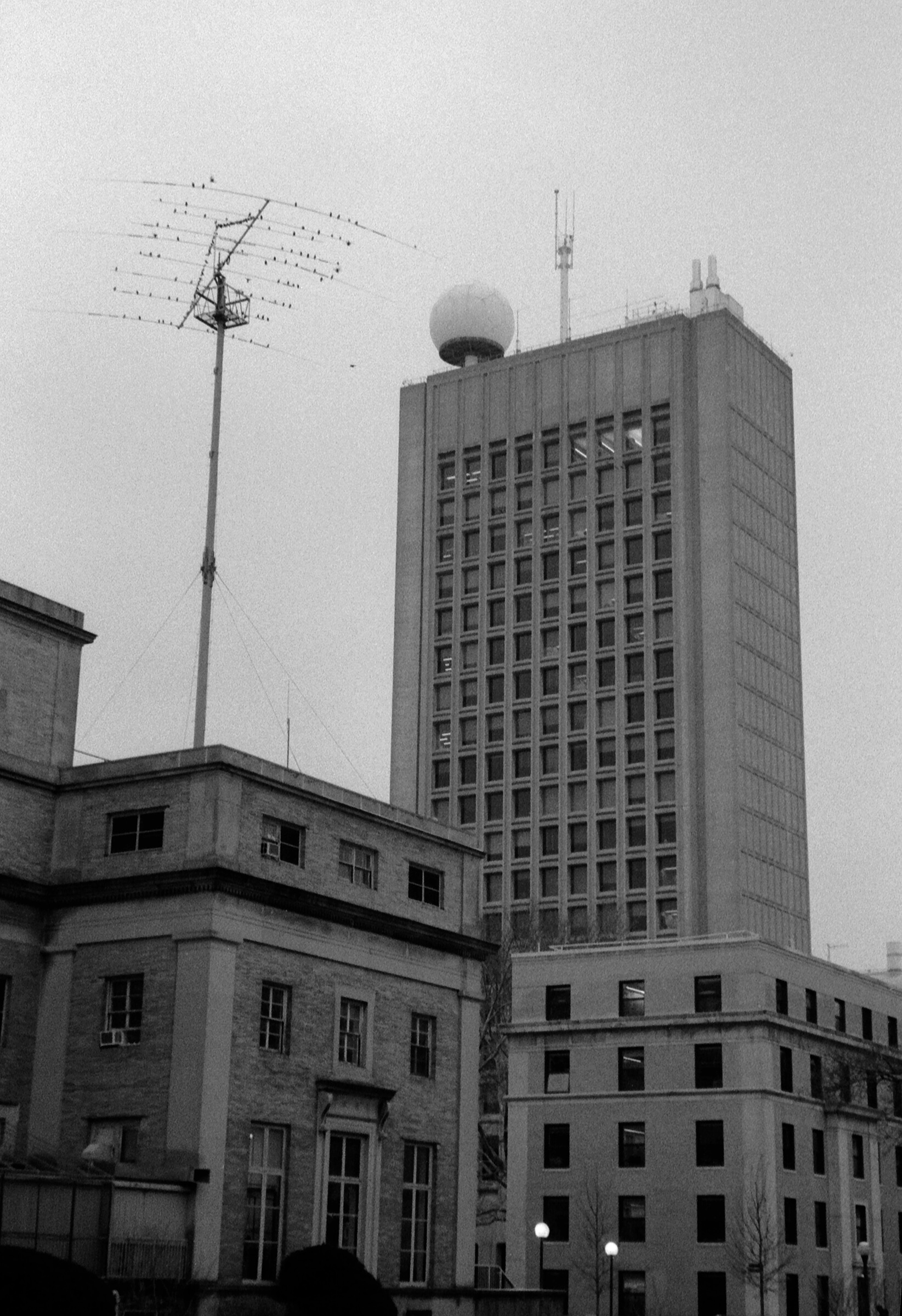 MITAntennae