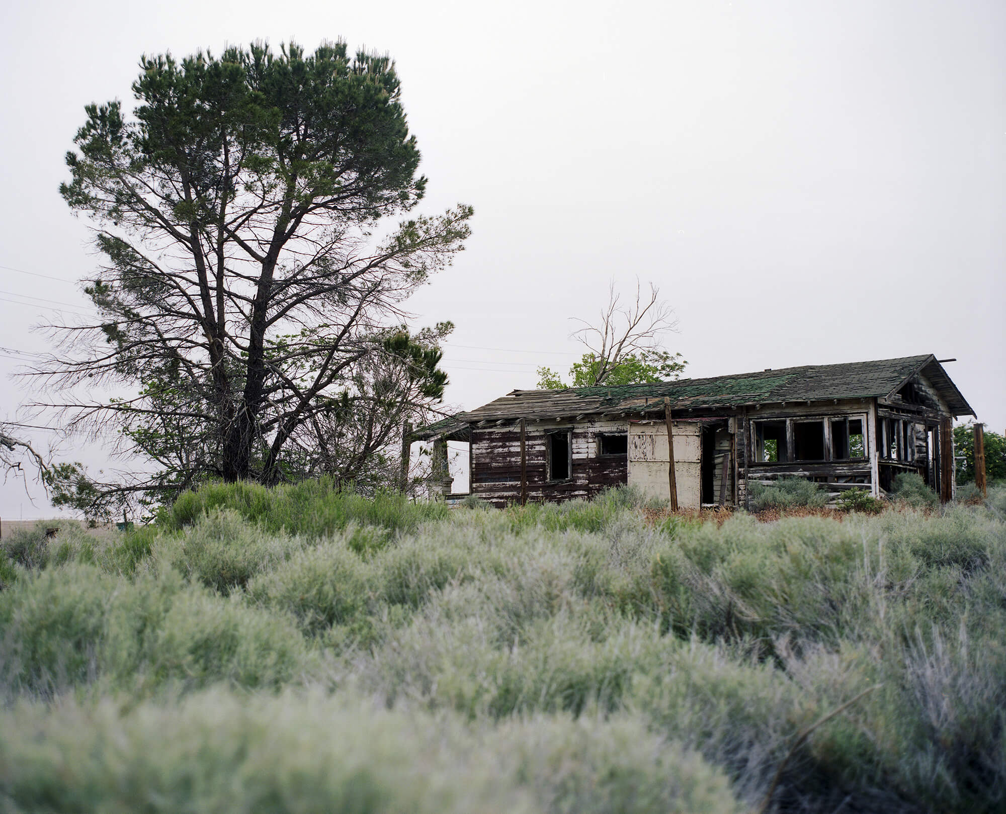 WestAVPolaroidHouse1 copy