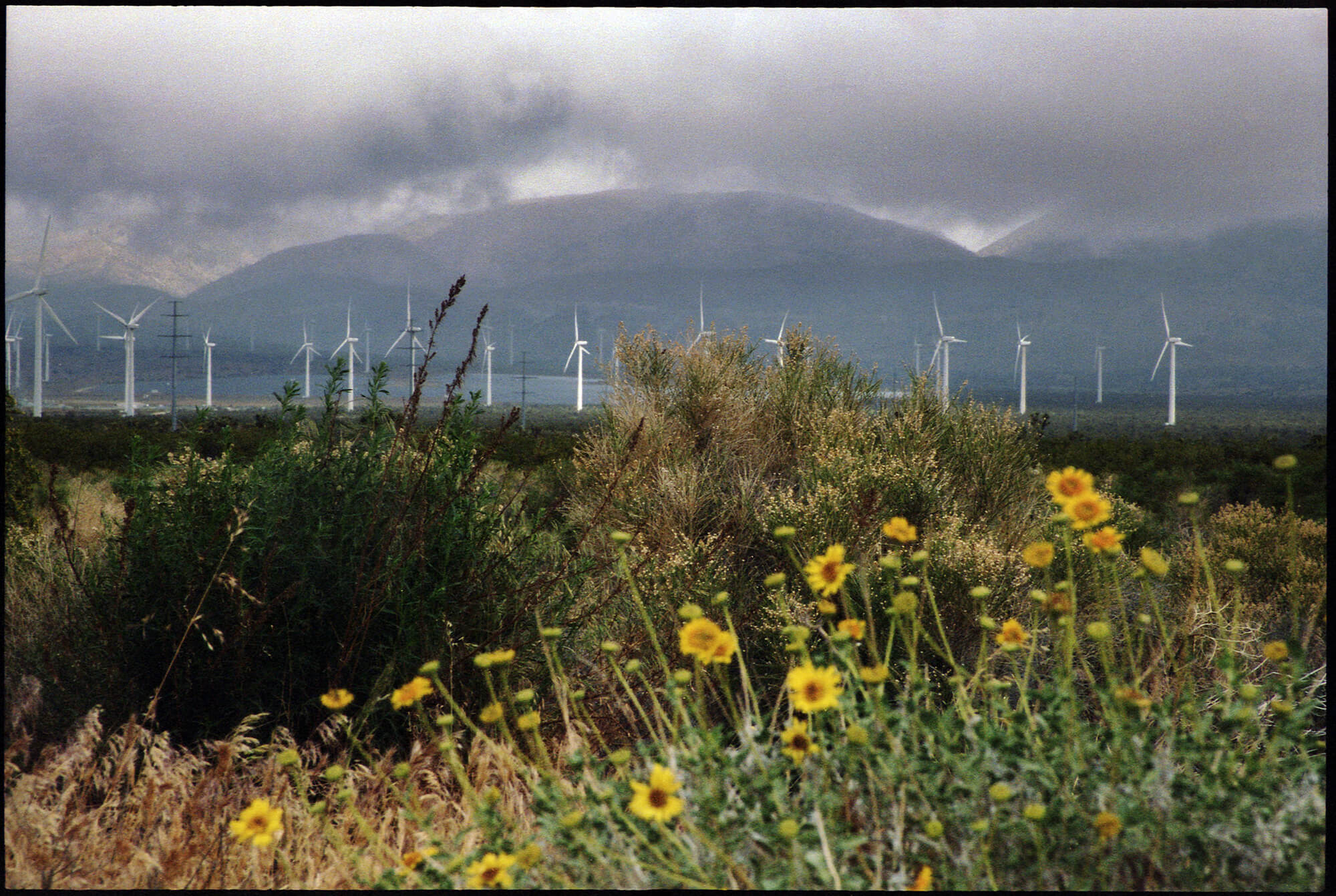 WindFarmGood copy